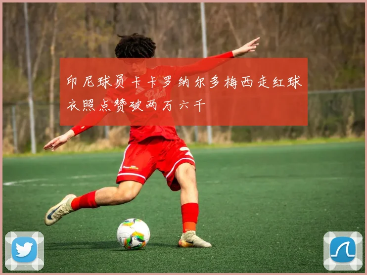 印尼球员卡卡罗纳尔多梅西走红球衣照点赞破两万六千
